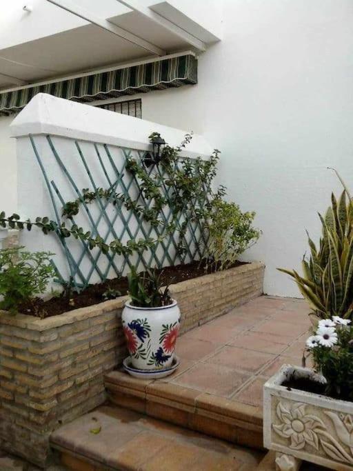 Apartamento Echando Anclas بارباتي المظهر الخارجي الصورة